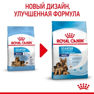 Корм для собак Royal Canin Maxi Starter (для щенков крупных пород до 2 месяцев)