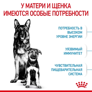Корм для собак Royal Canin Maxi Starter (для щенков крупных пород до 2 месяцев)