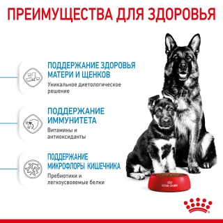 Корм для собак Royal Canin Maxi Starter (для щенков крупных пород до 2 месяцев)