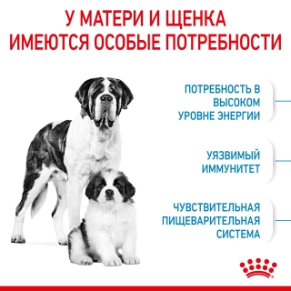 Корм для собак Royal Canin Giant Starter (для щенков до 2 месяцев)