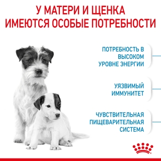 Корм для щенков Royal Canin Mini Starter (для щенков до 2 месяцев)