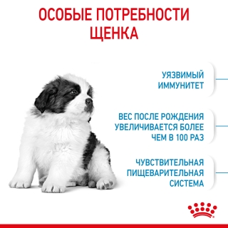 Корм для щенков Royal Canin Giant Puppy (для щенков крупных пород от 2 до 8 месяцев)