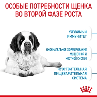 Корм для щенков Royal Canin Giant Junior (для щенков гигантских пород от 8 до 24 месяцев)
