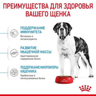 Корм для щенков Royal Canin Giant Junior (для щенков гигантских пород от 8 до 24 месяцев)