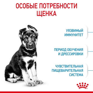 Корм для собак Royal Canin Maxi Puppy (для щенков крупных пород от 2 до 15 месяцев)