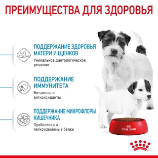 Корм для щенков Royal Canin Mini Starter (для щенков до 2 месяцев)