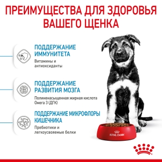 Корм для собак Royal Canin Maxi Puppy (для щенков крупных пород от 2 до 15 месяцев)