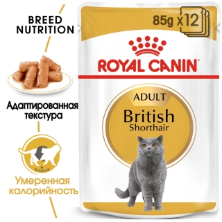 Влажный корм Роял Канин для британцев кусочки в соусе (Royal Canin British Adult), 14*85 гр