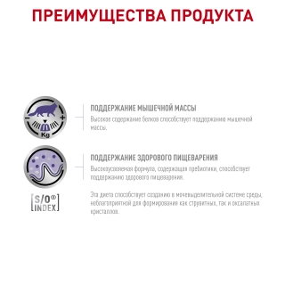 Корм для кошек Royal Canin NEUTERED MAINTANCE FELINE, 12*85 гр