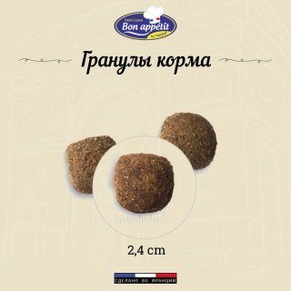 Корм Bon Appetit Maxi chicken & rice для взрослых собак крупных пород с курицей и рисом