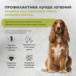 Сухой корм Брит Кеа Dog Adult Medium Healthy Skin & Shiny Coat для здоровой кожи и шерсти взрослых собак средних пород (Лосось, индейка)