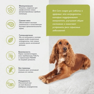 Сухой корм Брит Кеа Dog Adult Medium Healthy Skin & Shiny Coat для здоровой кожи и шерсти взрослых собак средних пород (Лосось, индейка)