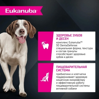 Сухой корм Eukanuba Adult Large Breed Lamb для взрослых собак крупных и очень крупных пород старше 1 года  (Ягненок)