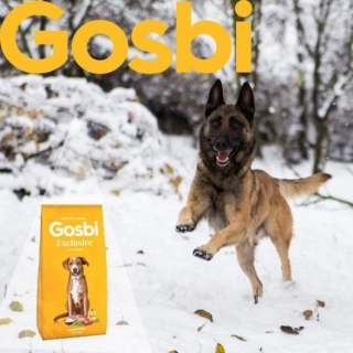 Низкозерновой корм Gosbi Exclusive Junior Lamb & Fish для щенков средних и крупных пород с 4 х-месяцев (Ягненок и рыба) - 3 кг