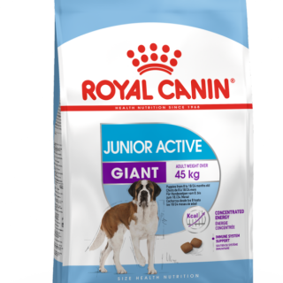 Корм для щенков Royal Canin Giant Junior Active (для активных щенков гигантских пород от 8 до 24 месяцев)