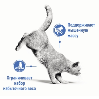 Корм Роял Канин для кошек склонных к полноте (Royal Canin Light Weight Care)