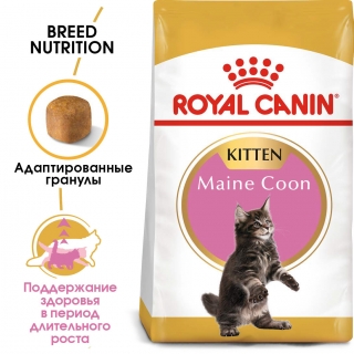 Корм Роял Канин для котят Мейн Куна (Royal Canin Maine Coon Kitten)