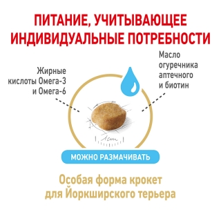 Корм Роял Канин для Йоршкширских терьеров старше 8 лет (Royal Canin Yorkshire Terrier 8+)