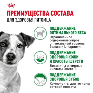 Корм для собак Royal Canin Mini Adult (для взрослых собак от 10 месяцев до 8 лет)