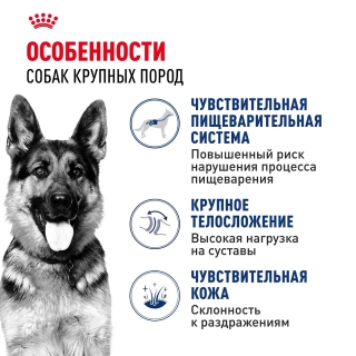 Корм для собак Royal Canin Maxi Adult (для взрослых собак крупных пород с 15 месяцев до 5 лет)