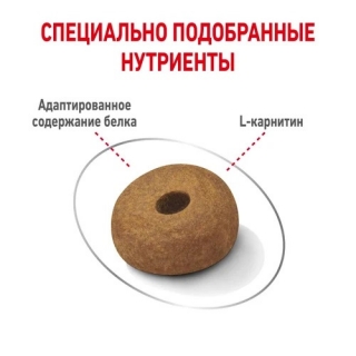 Корм для собак Royal Canin Maxi Light Weight Care (для собак крупных пород склонных к полноте)