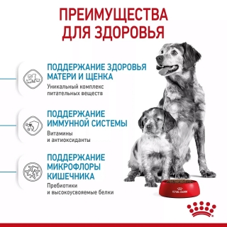 Корм для щенков Royal Canin Medium Starter (для щенков до 2 месяцев)