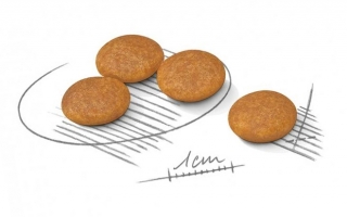 Корм для собак Royal Canin Mini Dermacomfort (для взрослых собак чувствительной кожей)
