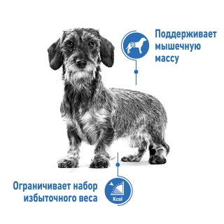 Корм для собак Royal Canin Mini Light Weight Care (избыточный вес)