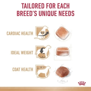Корм для собак Royal Canin Cavalier King Charles Adult (Роял канин для кавалер чарльз кинг спаниеля, взрослые)