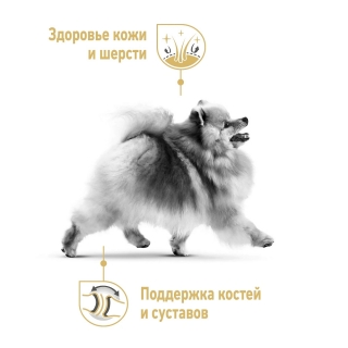 Корм Роял Канин для Померанского шпица (Royal Canin Pomeranian Adult)