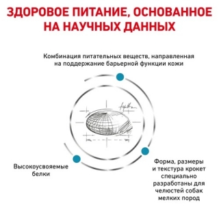Лечебный сухой корм для собак мелких пород Роял Канин Скин Кеа Смол Дог, Skin Care Small Dog (дерматоз и выпадение шерсти)