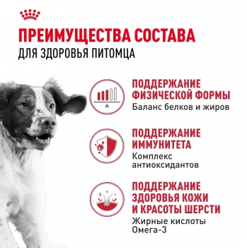 Корм для собак Royal Canin Medium Adult (Медиум Эдалт для собак средних пород от 1 до 7 лет)