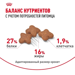 Корм для собак Royal Canin Mini Adult (для взрослых собак от 10 месяцев до 8 лет)