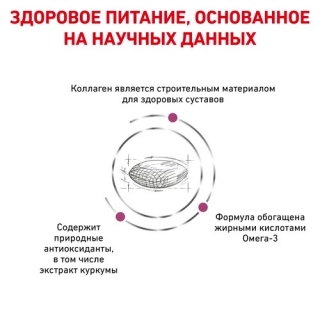 Лечебный сухой корм для собак Royal Canin Mobility C2P+, Мобилити (нарушения опроно-двигательного аппарата)