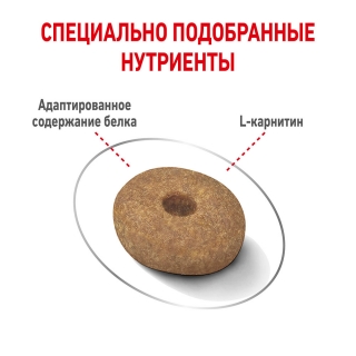 Корм для собак Royal Canin Mini Light Weight Care (избыточный вес)