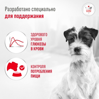 Сухой диетический корм Royal Canin Glycobalance Small Dog для взрослых собак малых пород с сахарным диабетом