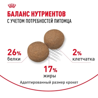 Корм для собак Royal Canin Maxi Adult (для взрослых собак крупных пород с 15 месяцев до 5 лет)