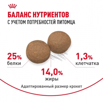 Корм для собак Royal Canin Medium Adult (Медиум Эдалт для собак средних пород от 1 до 7 лет)