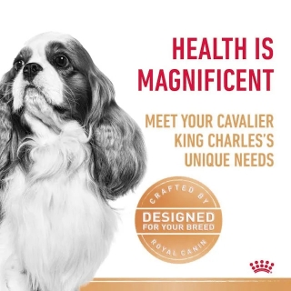 Корм для собак Royal Canin Cavalier King Charles Adult (Роял канин для кавалер чарльз кинг спаниеля, взрослые)