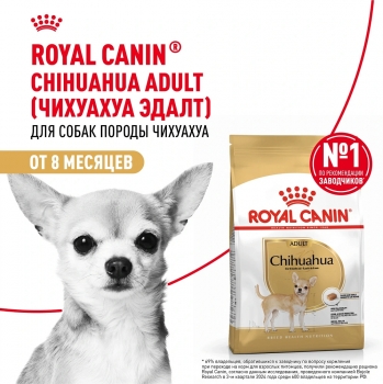 Корм для собак Royal Canin Chihuahua Adult (Роял канин для чихуахуа, взрослые)