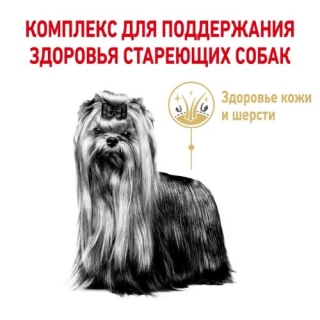Корм Роял Канин для Йоршкширских терьеров старше 8 лет (Royal Canin Yorkshire Terrier 8+)