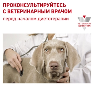 Лечебный сухой корм для собак Royal Canin Anallergenic, Аналлердженик (пищевая аллергия и/или непереносимость)