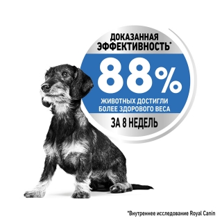 Корм для собак Royal Canin Mini Light Weight Care (избыточный вес)