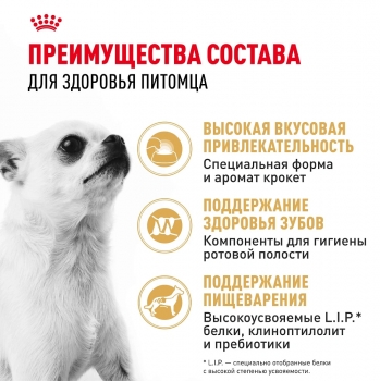 Корм для собак Royal Canin Chihuahua Adult (Роял канин для чихуахуа, взрослые)