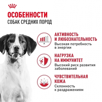 Корм для собак Royal Canin Medium Adult (Медиум Эдалт для собак средних пород от 1 до 7 лет)