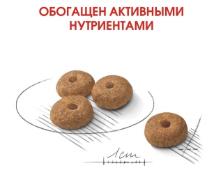 Корм для собак Royal Canin Mini Sterilised (Корм для взрослых стерилизованных собак мелких размеров)