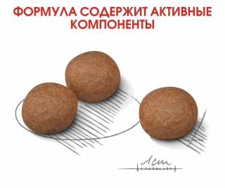 Корм для собак Royal Canin Medium Digestive Care (для собак с чувствительным пищеварением)