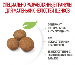 Корм для собак Royal Canin Maxi Starter (для щенков крупных пород до 2 месяцев)