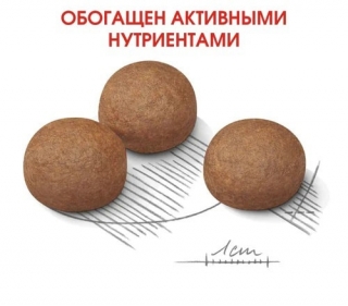 Корм для собак Royal Canin Maxi Digestive Care (для собак с чувствительным пищеварением)