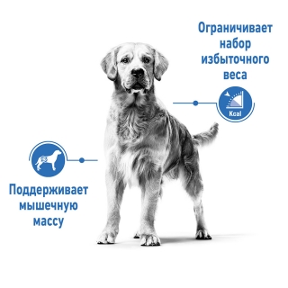 Корм для собак Royal Canin Medium Light Weight Care (склонных к набору веса)